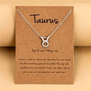 Silver Taurus Zodiac Sign Necklace
